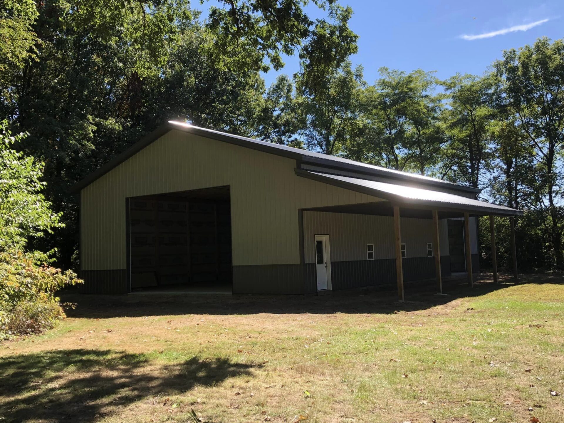 siding shed surrounded with plants